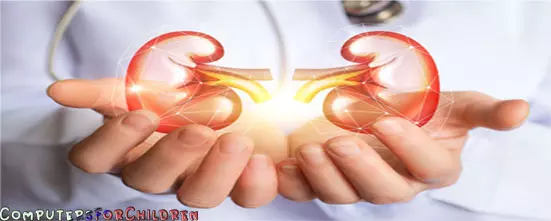 Kesehatan Ginjal - 10 Cara Merawat Ginjal, Jangan Diabaikan!